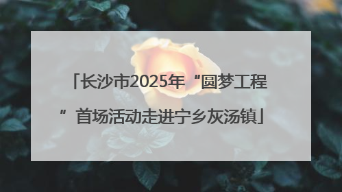 长沙市2025年“圆梦工程”首场活动走进宁乡灰汤镇
