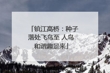 镇江高桥：种子落处飞鸟至 人鸟和谐趣景来