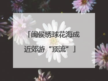 闽侯绣球花海成近郊游“顶流”