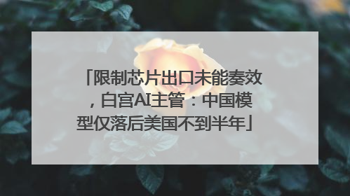 限制芯片出口未能奏效，白宫AI主管：中国模型仅落后美国不到半年
