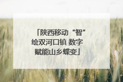 陕西移动“智”绘双河口镇 数字赋能山乡蝶变