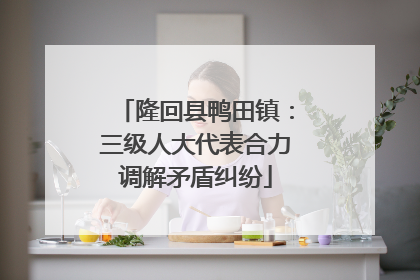 隆回县鸭田镇：三级人大代表合力调解矛盾纠纷