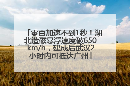 零百加速不到1秒！湖北造磁悬浮速度破650km/h，建成后武汉2小时内可抵达广州
