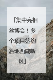 集中亮相丝博会！多个项目签约落地西咸新区