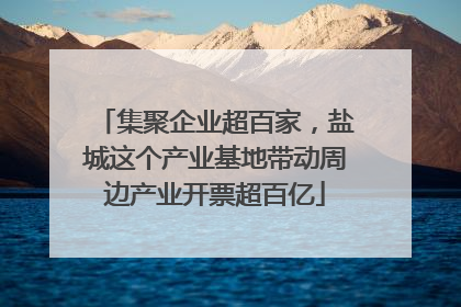集聚企业超百家，盐城这个产业基地带动周边产业开票超百亿