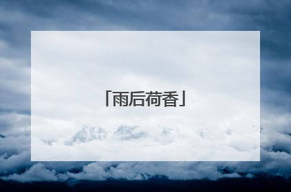 雨后荷香