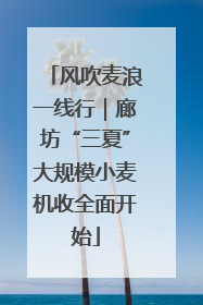 风吹麦浪一线行｜廊坊“三夏”大规模小麦机收全面开始