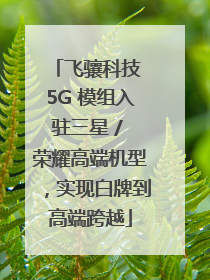 飞骧科技 5G 模组入驻三星 / 荣耀高端机型，实现白牌到高端跨越