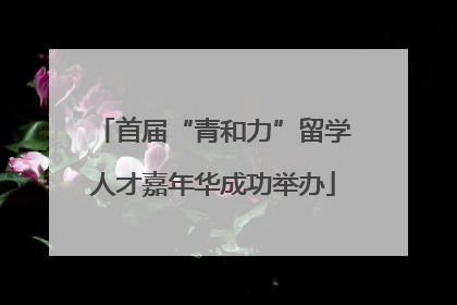 首届“青和力”留学人才嘉年华成功举办