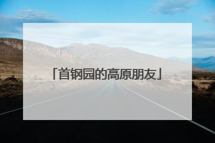 首钢园的高原朋友