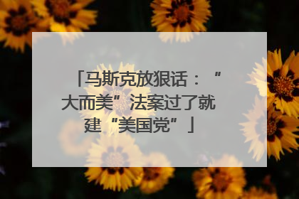 马斯克放狠话：“大而美”法案过了就建“美国党”