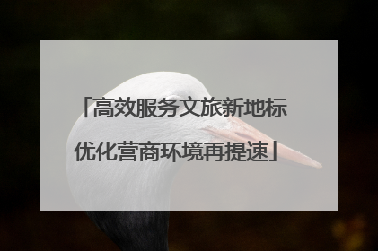 高效服务文旅新地标 优化营商环境再提速