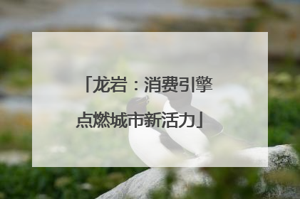 龙岩：消费引擎点燃城市新活力