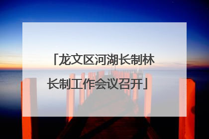龙文区河湖长制林长制工作会议召开