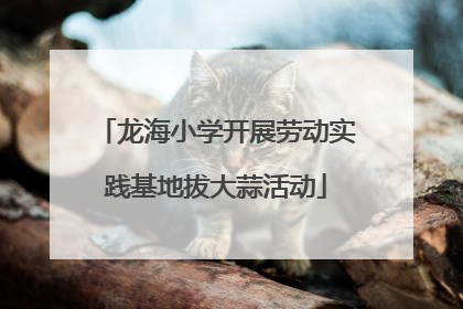 龙海小学开展劳动实践基地拔大蒜活动