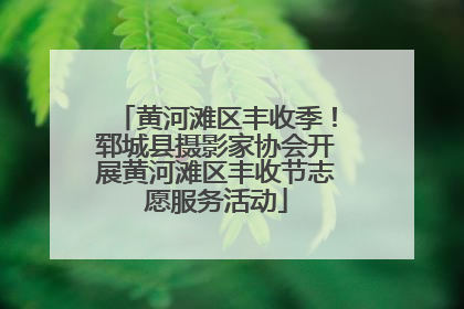 黄河滩区丰收季！郓城县摄影家协会开展黄河滩区丰收节志愿服务活动