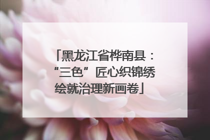 黑龙江省桦南县：“三色”匠心织锦绣 绘就治理新画卷