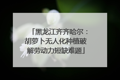 黑龙江齐齐哈尔：胡萝卜无人化种植破解劳动力短缺难题