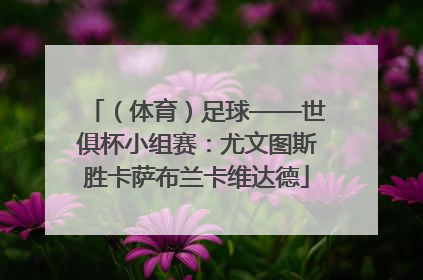 （体育）足球——世俱杯小组赛：尤文图斯胜卡萨布兰卡维达德