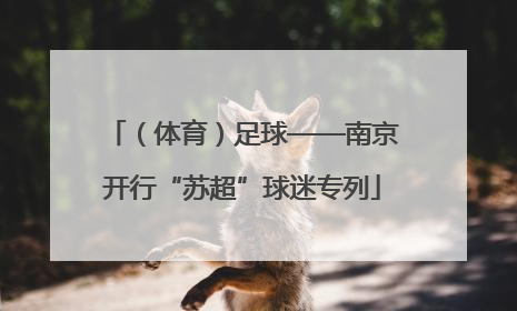 （体育）足球——南京开行“苏超”球迷专列