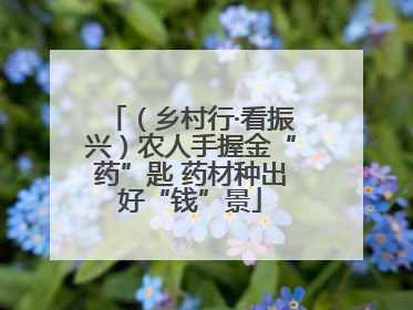（乡村行·看振兴）农人手握金“药”匙 药材种出好“钱”景
