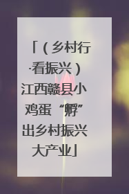 （乡村行·看振兴）江西赣县小鸡蛋“孵”出乡村振兴大产业