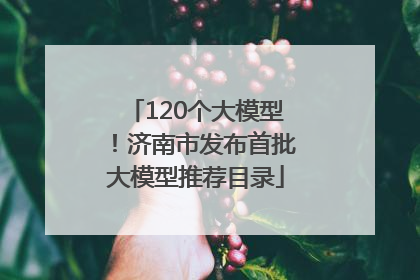 120个大模型！济南市发布首批大模型推荐目录