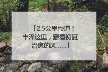 2.5公里慢道！丰泽这里，藏着初夏治愈的风……