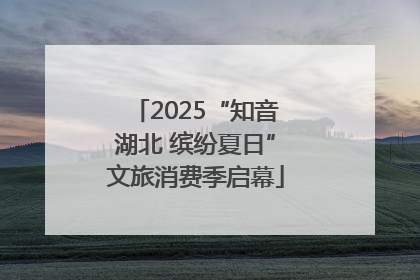 2025“知音湖北 缤纷夏日”文旅消费季启幕
