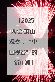 2025两会·萧山观察：“中国视谷”的新江湖