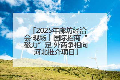 2025年廊坊经洽会·现场丨国际招商“磁力”足 外商争相向河北推介项目