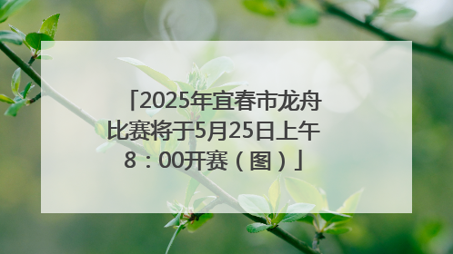 2025年宜春市龙舟比赛将于5月25日上午8：00开赛（图）