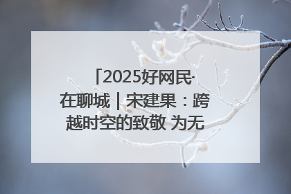2025好网民·在聊城｜宋建果：跨越时空的致敬 为无名烈士“正名”