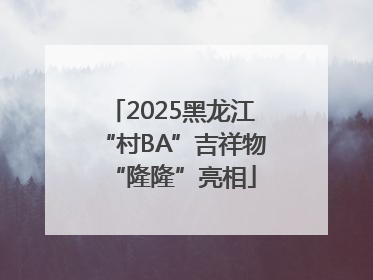 2025黑龙江“村BA”吉祥物“隆隆”亮相