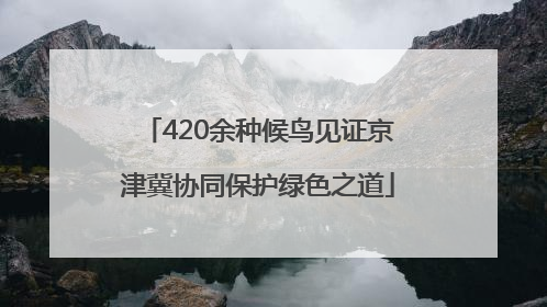 420余种候鸟见证京津冀协同保护绿色之道