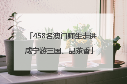 458名澳门师生走进咸宁游三国、品茶香