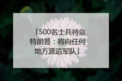 500名士兵待命 特朗普：将向任何地方派遣军队
