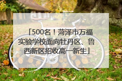 500名！菏泽市万福实验学校面向牡丹区、鲁西新区招收高一新生