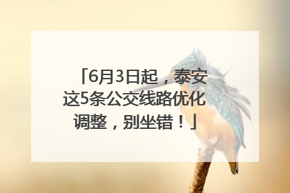 6月3日起，泰安这5条公交线路优化调整，别坐错！