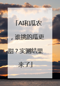 AI和瓜农，谁挑的瓜更甜？实测结果来了