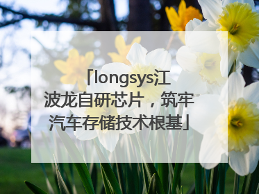 longsys江波龙自研芯片，筑牢汽车存储技术根基